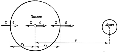82