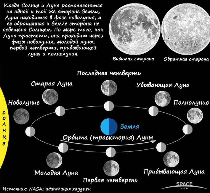 фазы Луны на севере и юге художественное изображение