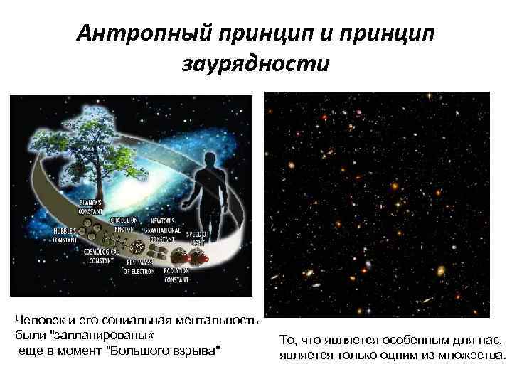 воиды и антропный принцип, художественное представление